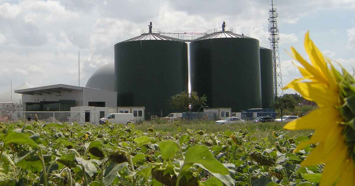 Bioenergy Biomass Biogas Discover Renewables At RWE