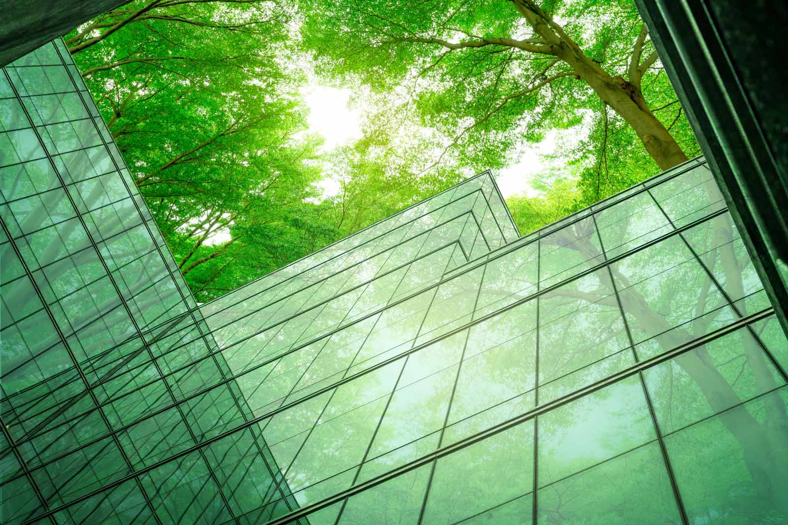 Eine moderne Architektur mit großen Glasflächen, die von üppigem Baumgrün umgeben ist und Licht einfängt.