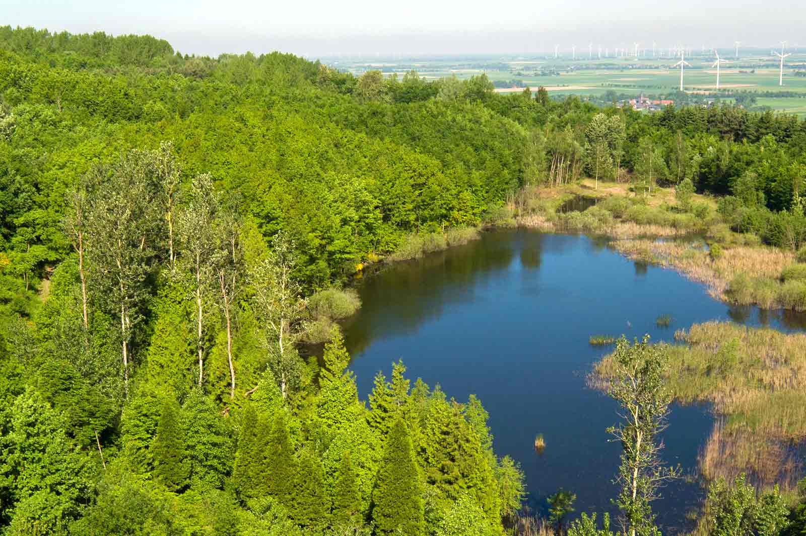 Eine idyllische Landschaft mit einem Teich, umgeben von üppigem Grün und Wäldern, im Hintergrund Windkraftanlagen.