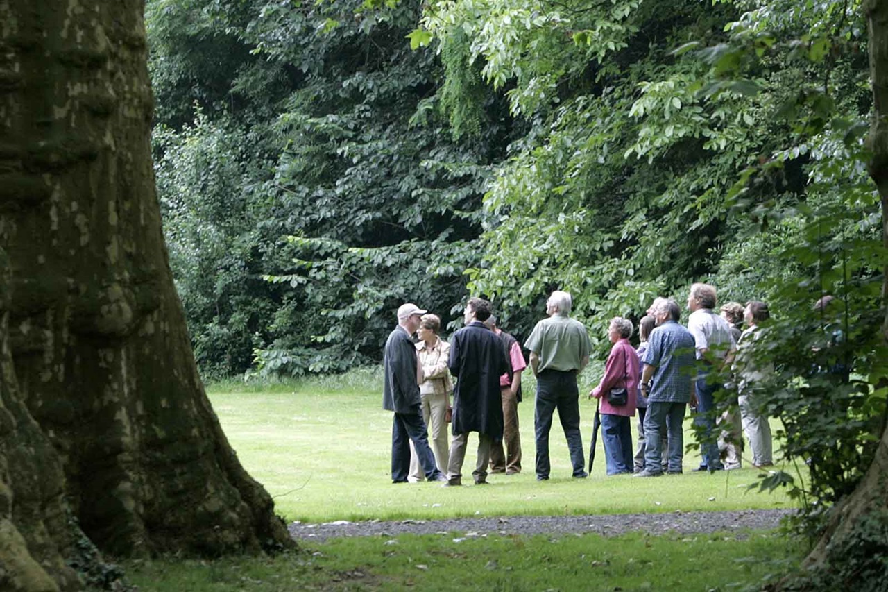 Eine Gruppe von Menschen versammelt sich in einem üppig grünen Park, umgeben von Bäumen und diskutiert im Freien.