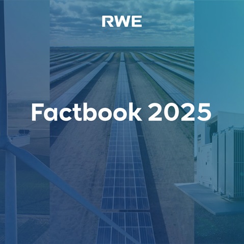 The image features the RWE logo and the text 'Factbook 2025' over a solar energy landscape.