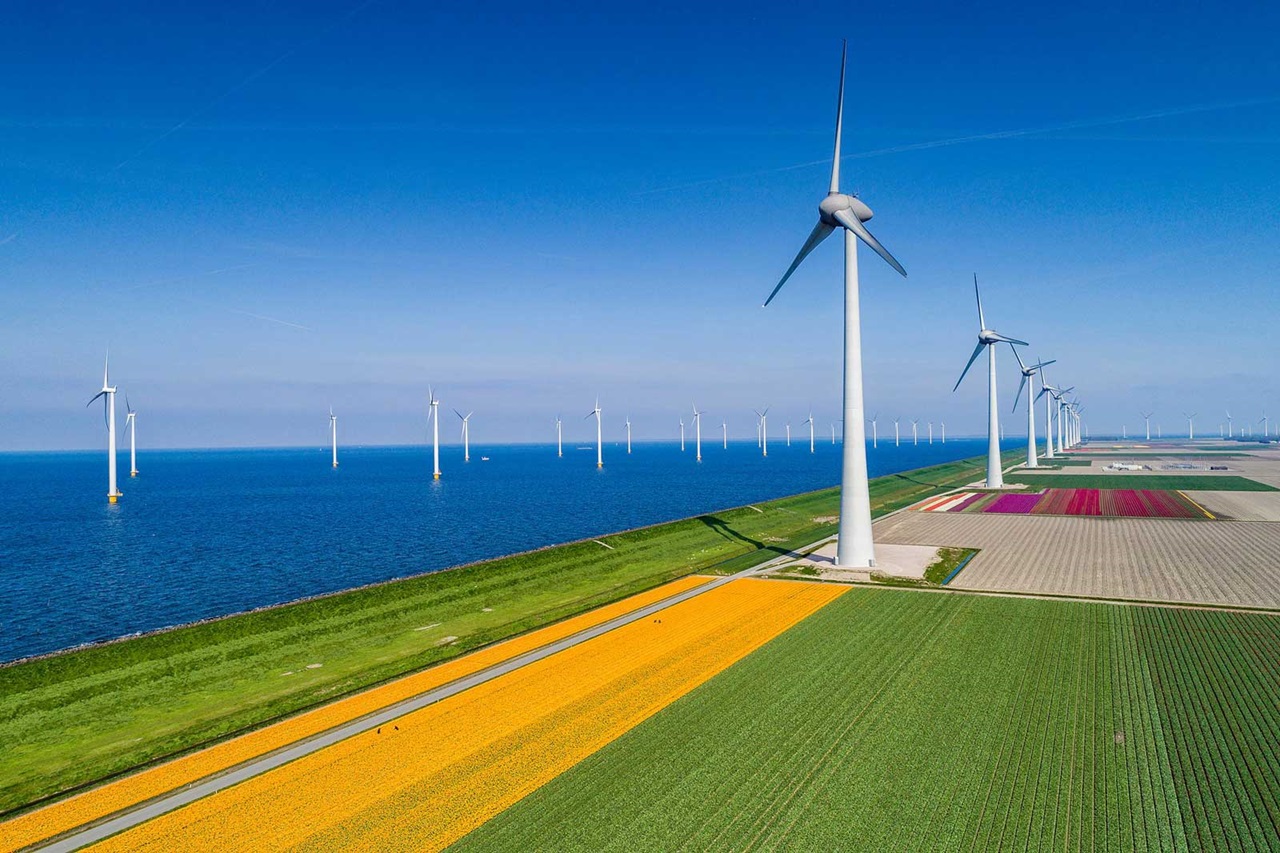 Wind turbines line the coastline, next to colourful flower fields and the blue sea.